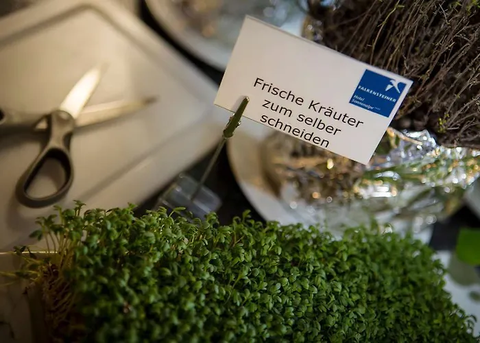 Falkensteiner Family Sonnenalpe